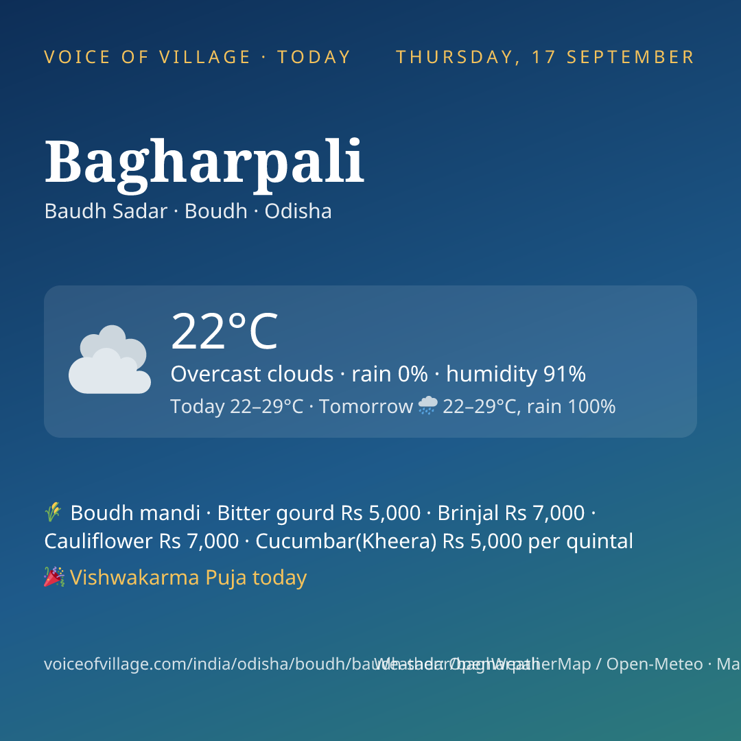 Bagharpali today