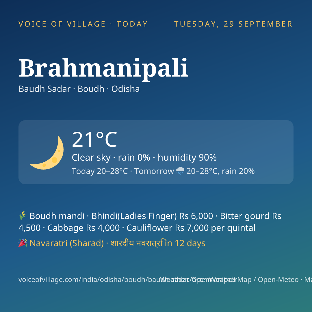 Brahmanipali today