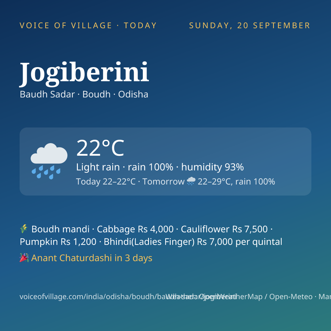 Jogiberini today