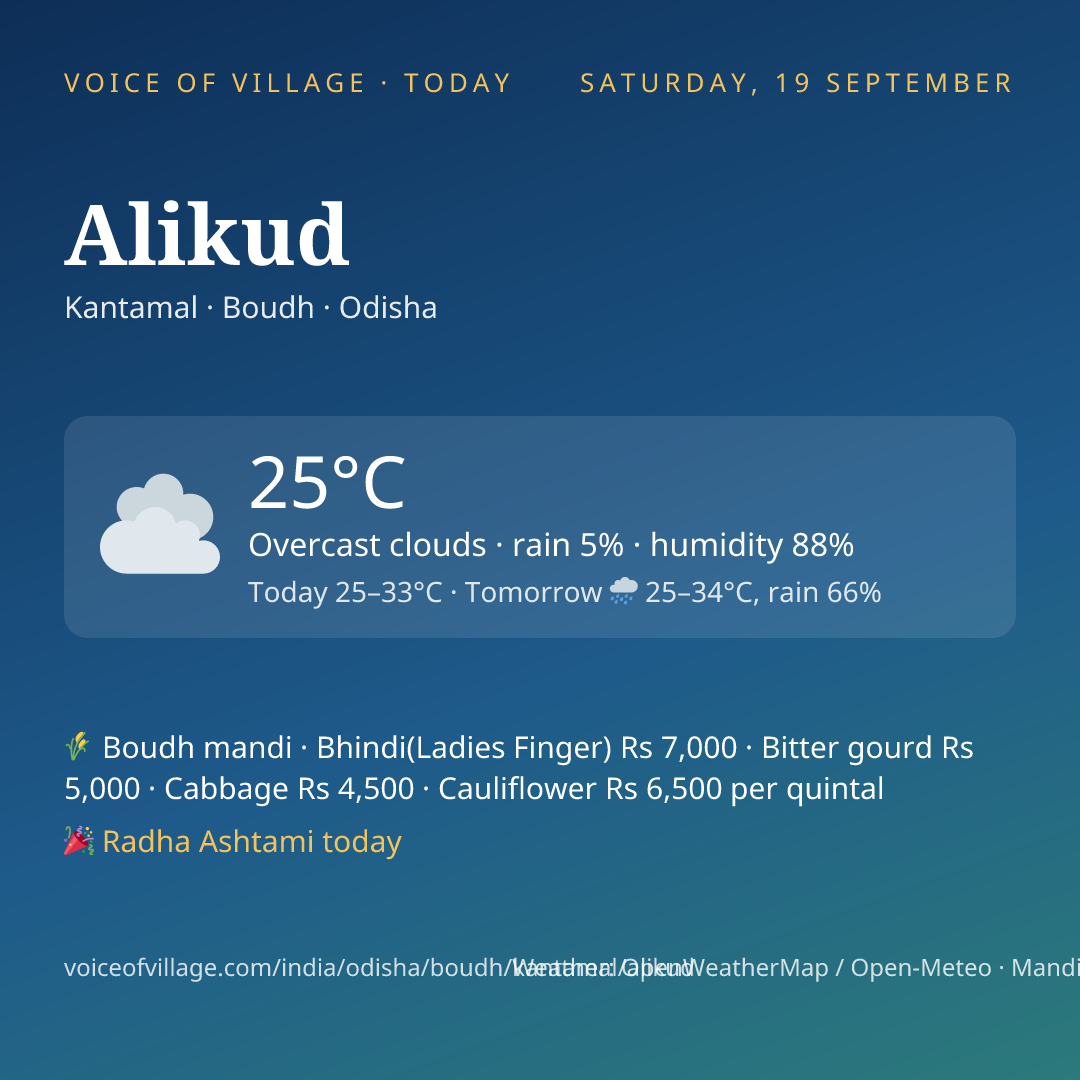 Alikud today