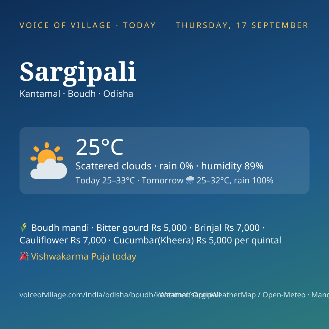 Sargipali today