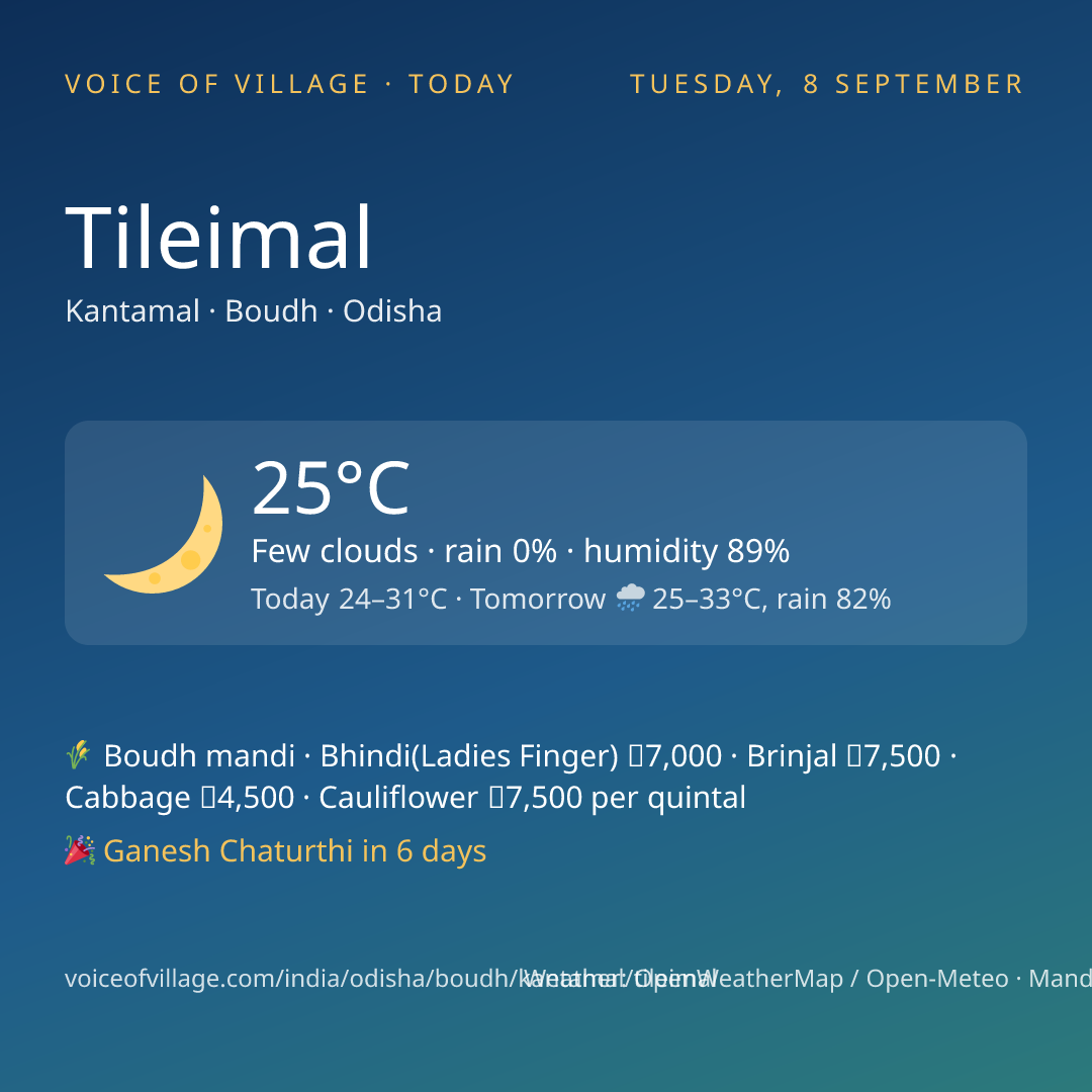 Tileimal today