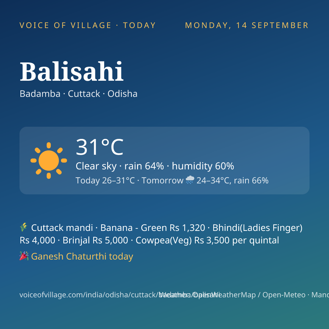 Balisahi today