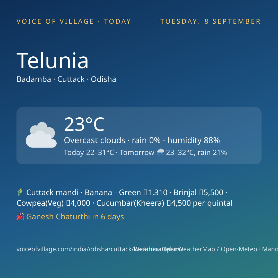 Telunia today