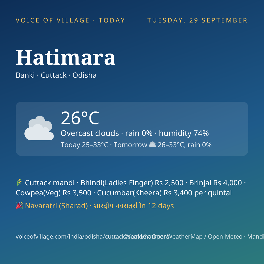 Hatimara today