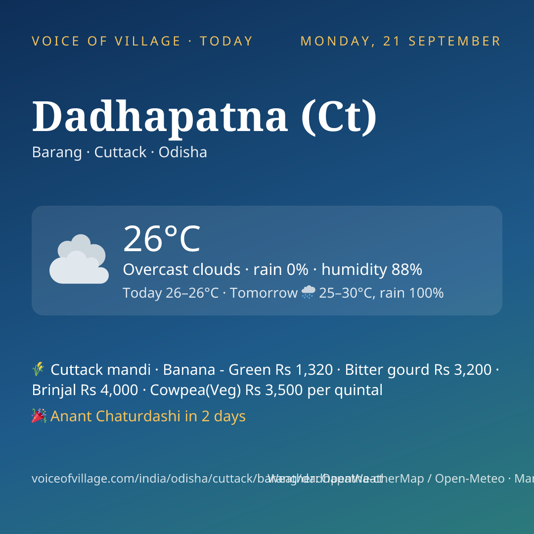 Dadhapatna (Ct) today