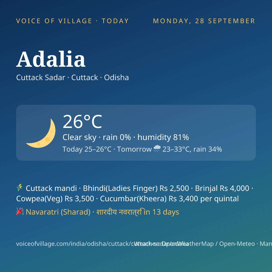 Adalia today