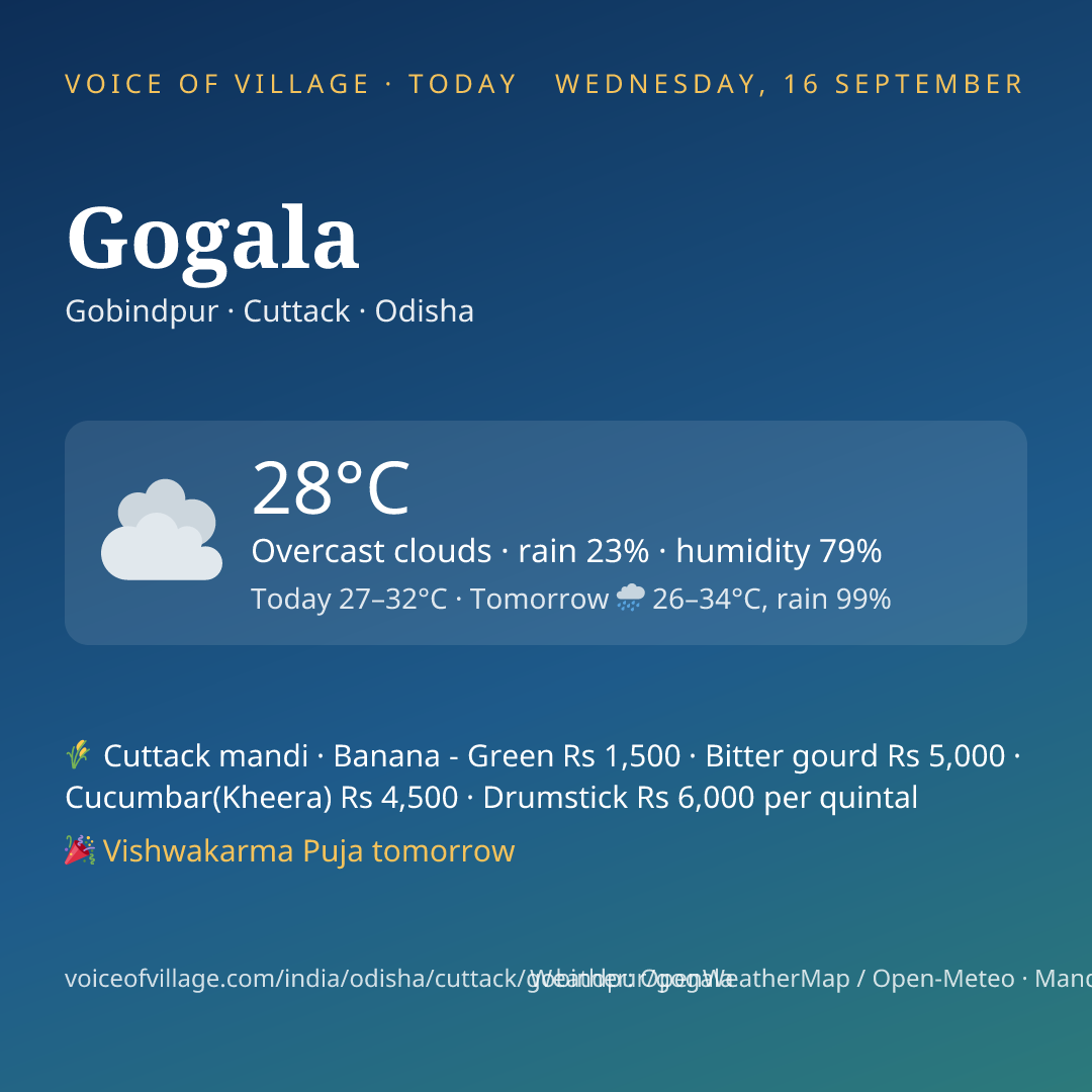 Gogala today