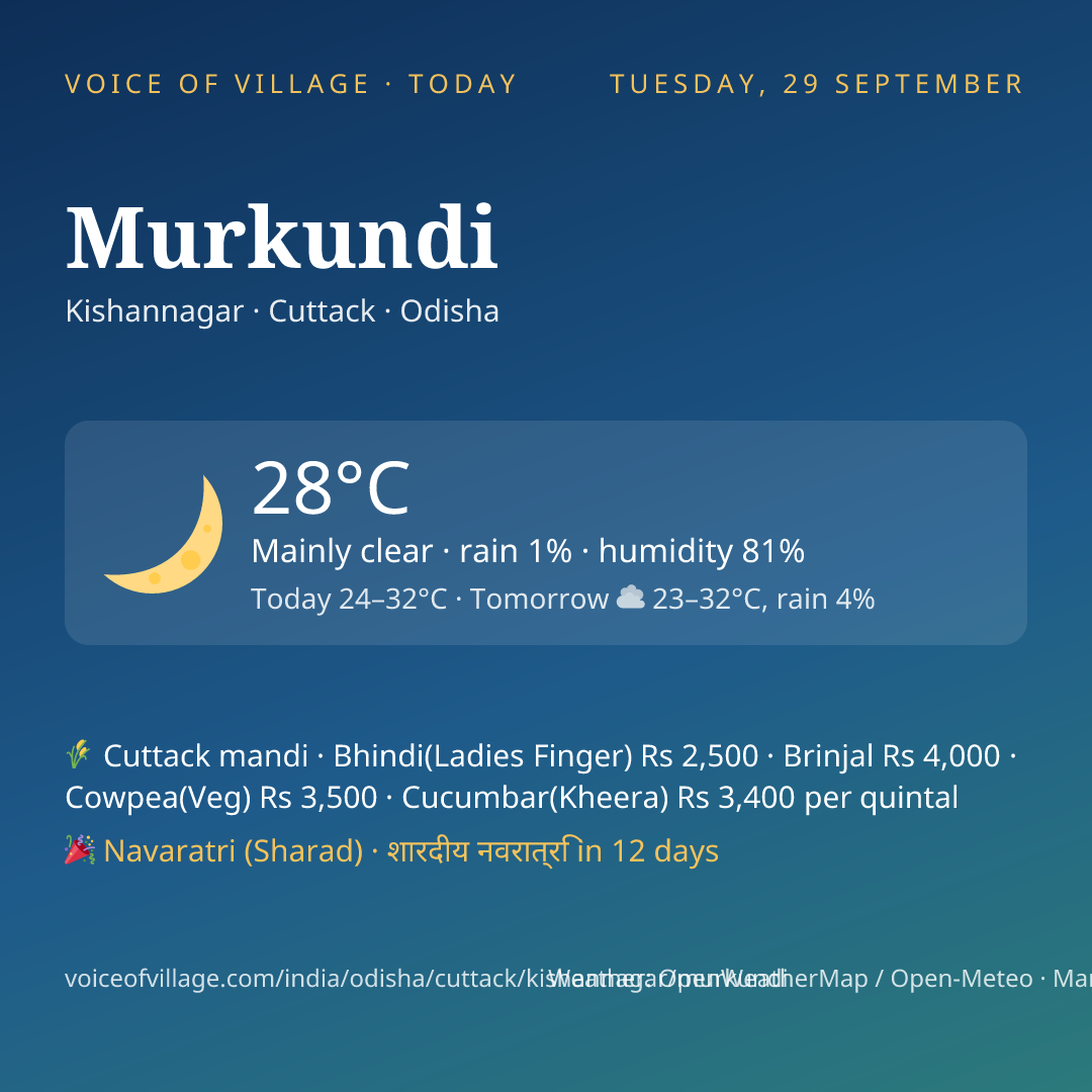 Murkundi today