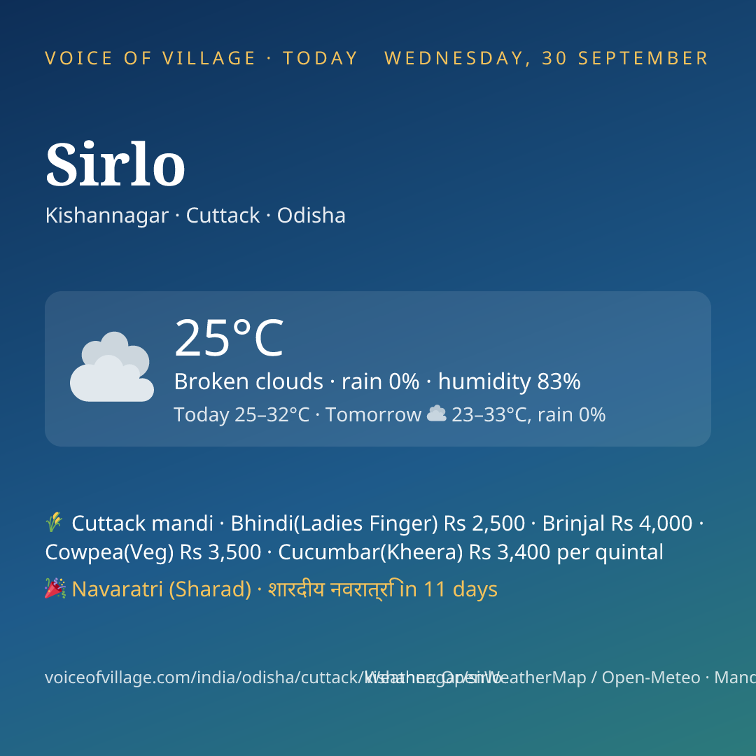 Sirlo today