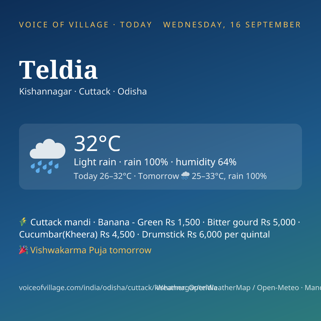 Teldia today