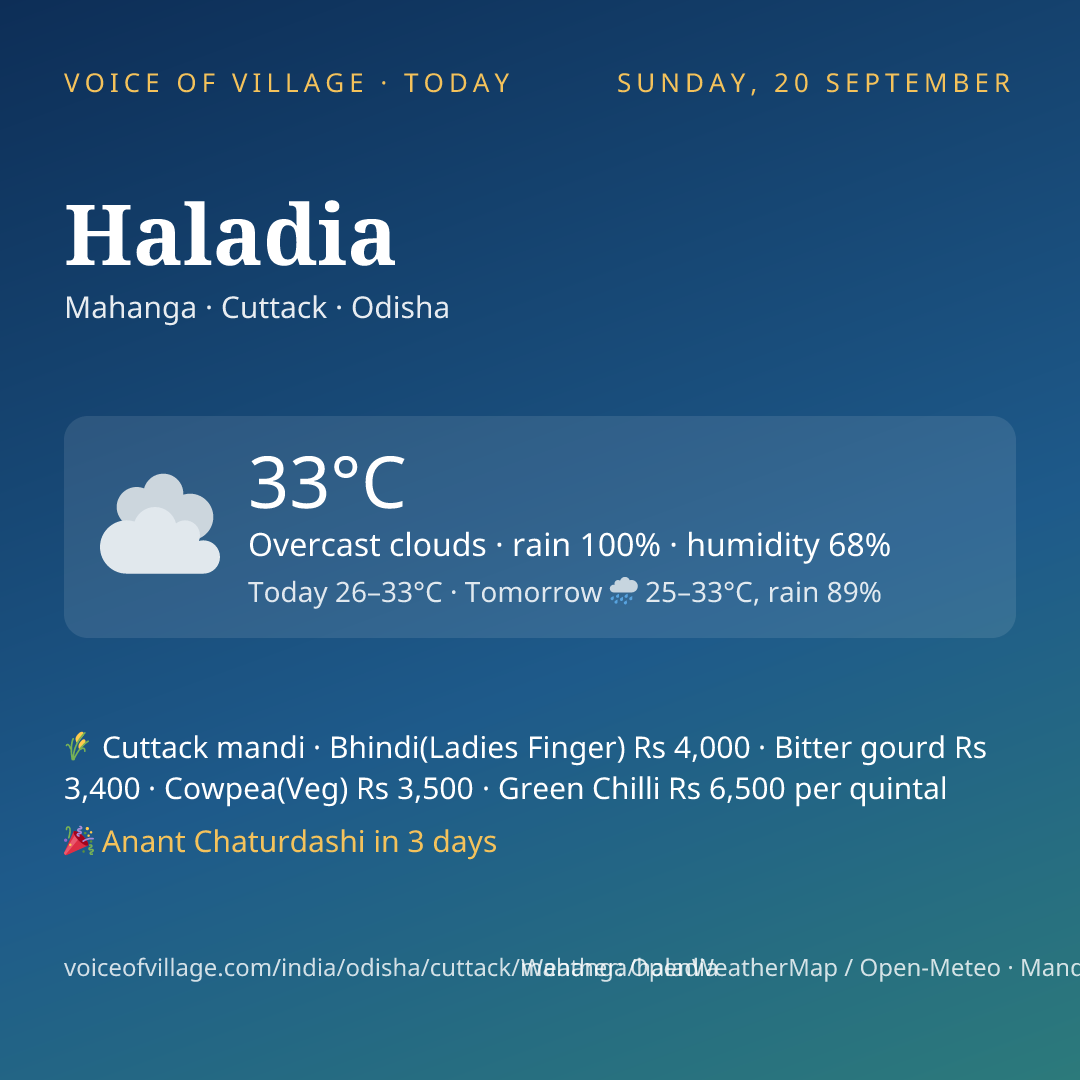 Haladia today