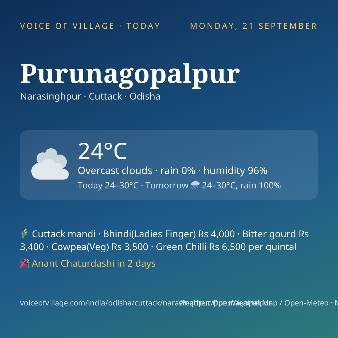 Purunagopalpur today