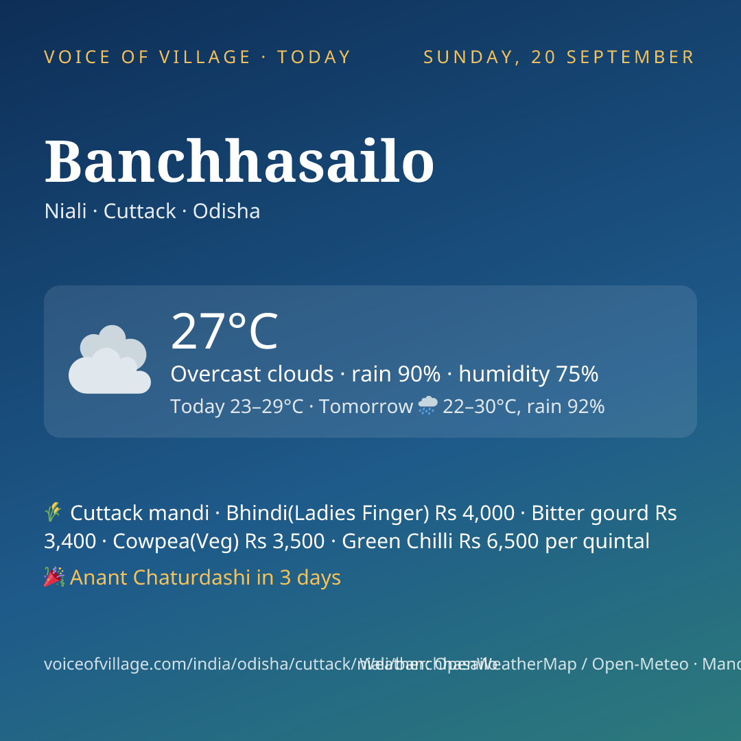 Banchhasailo today