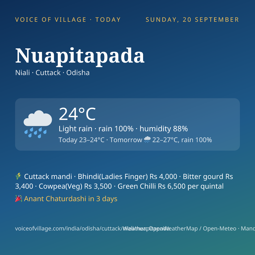 Nuapitapada today