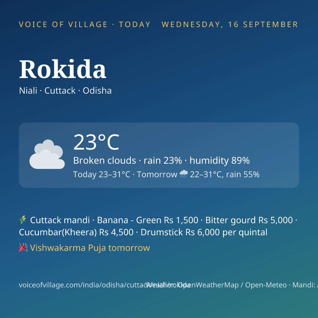 Rokida today