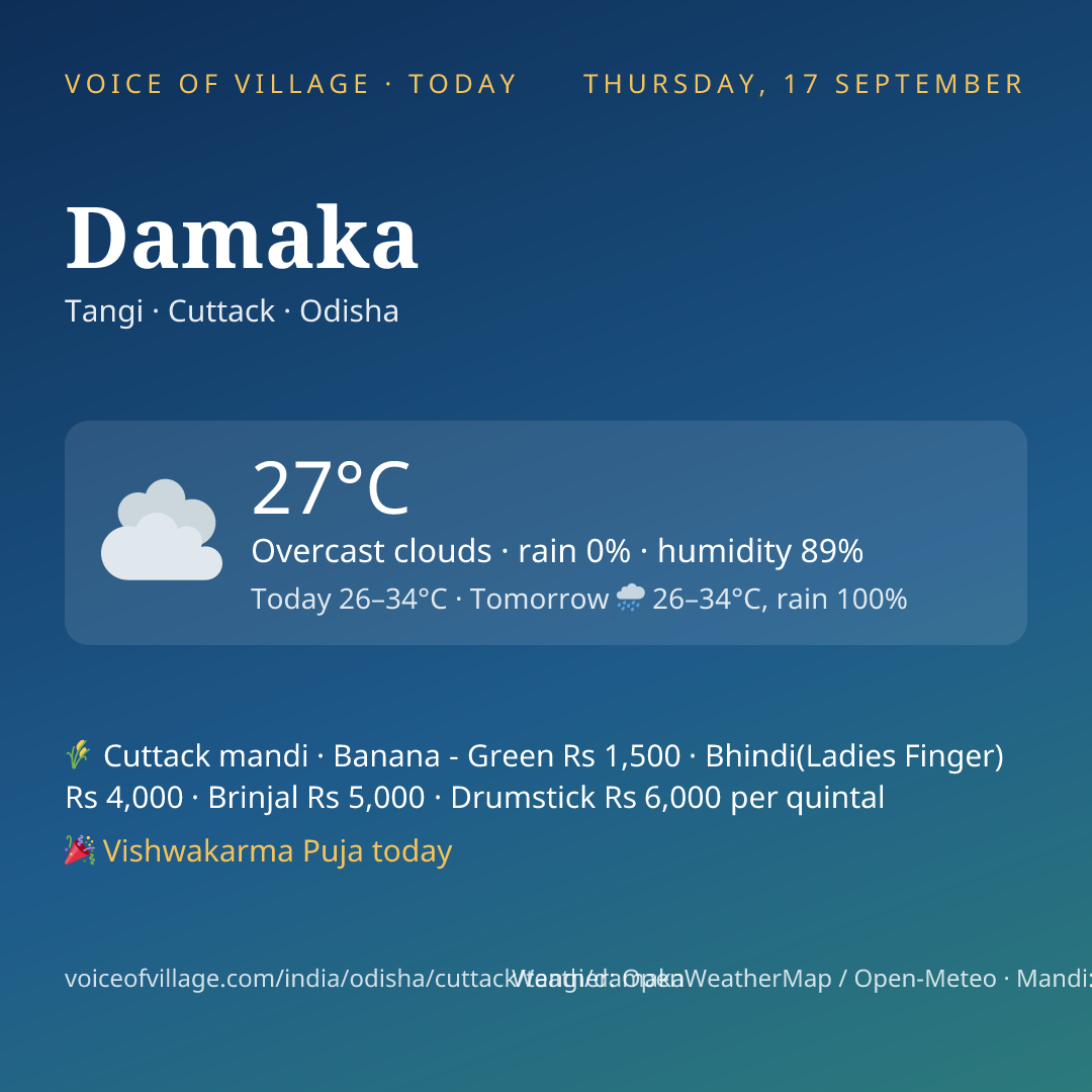 Damaka today