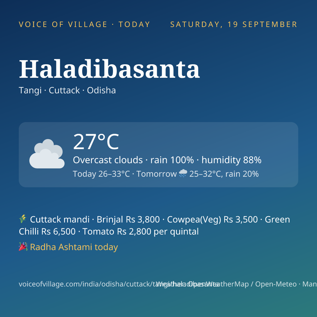 Haladibasanta today