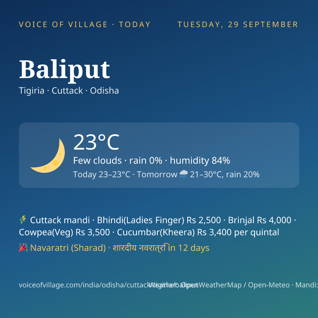Baliput today