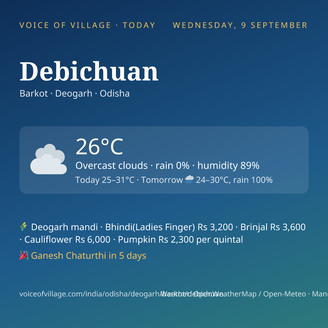 Debichuan today