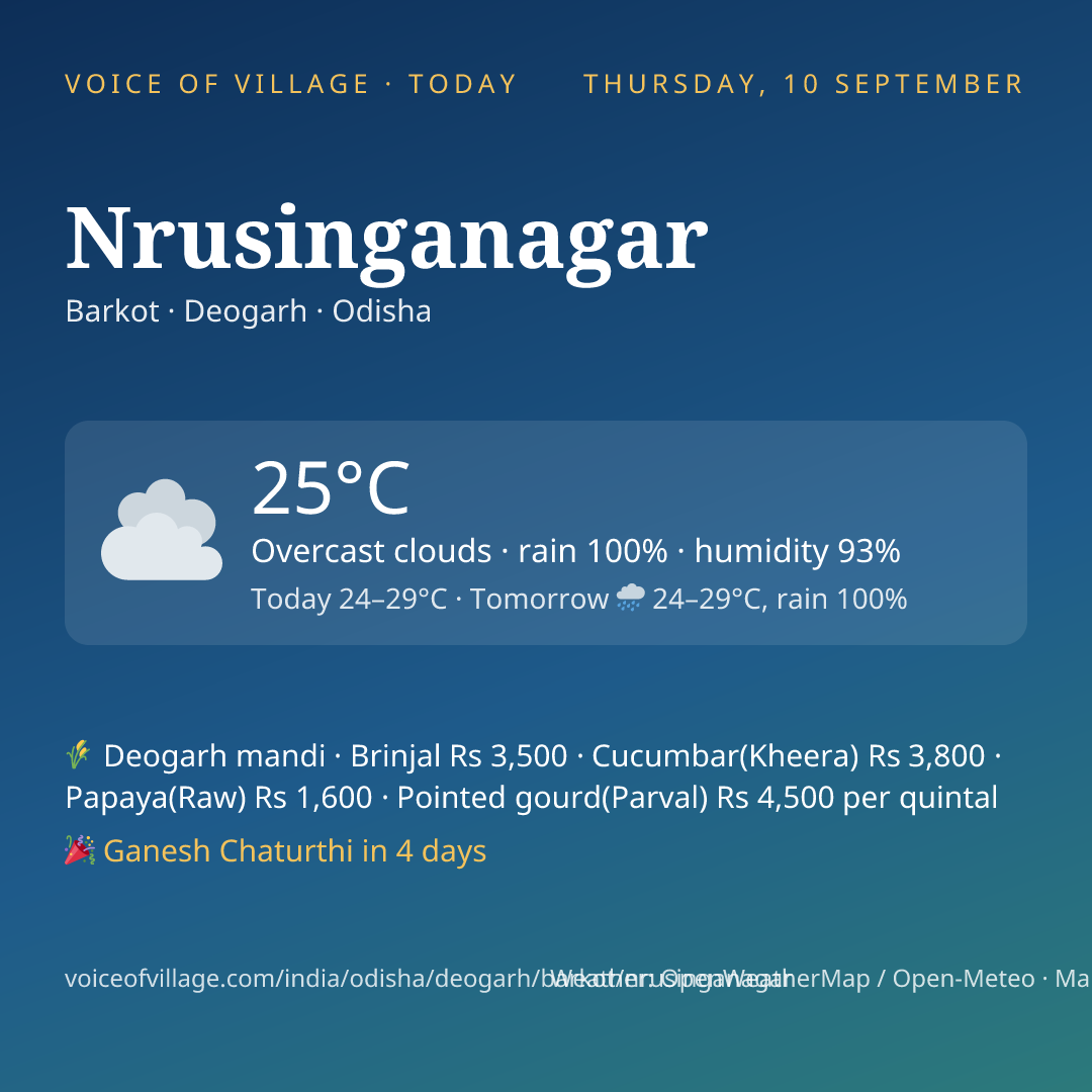 Nrusinganagar today