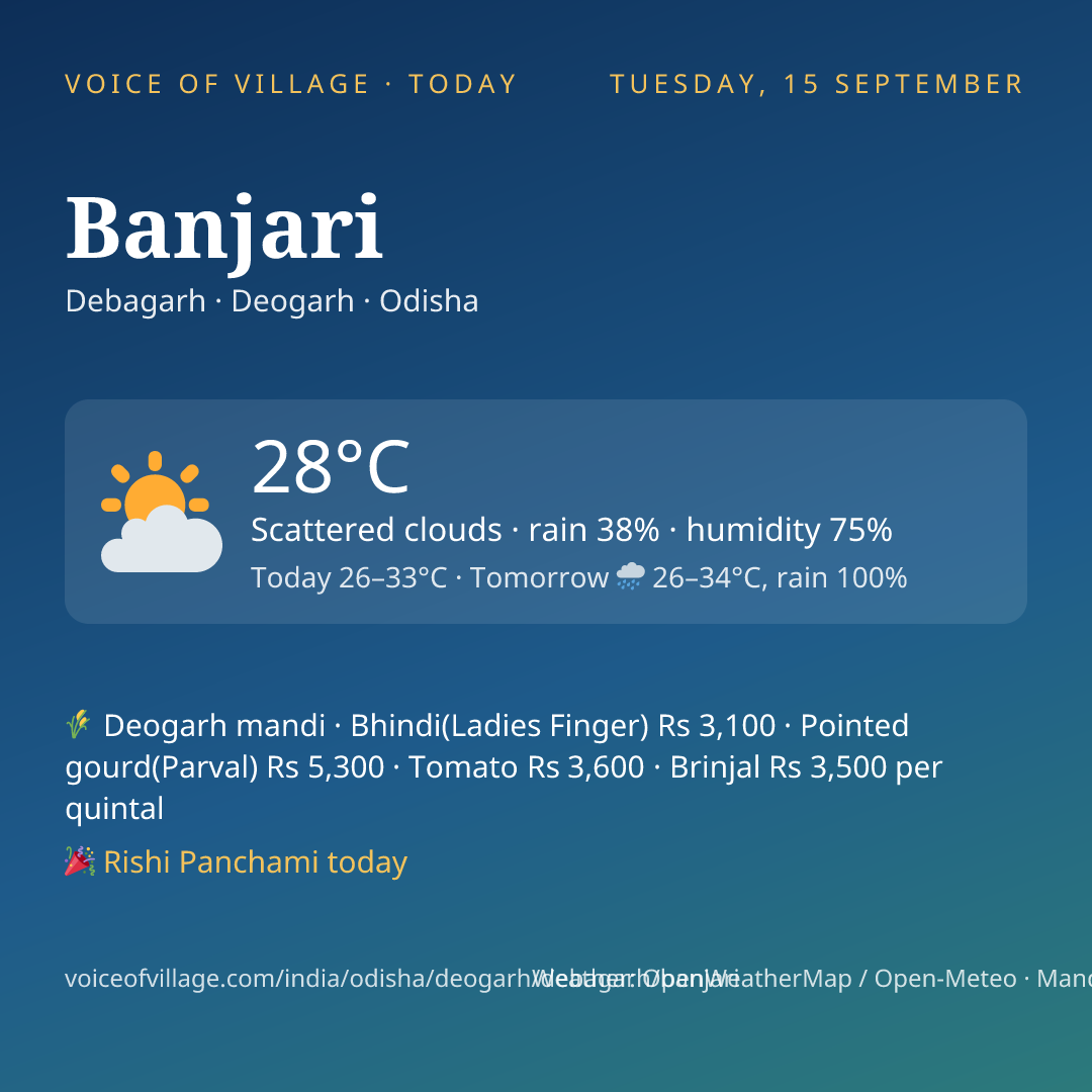 Banjari today