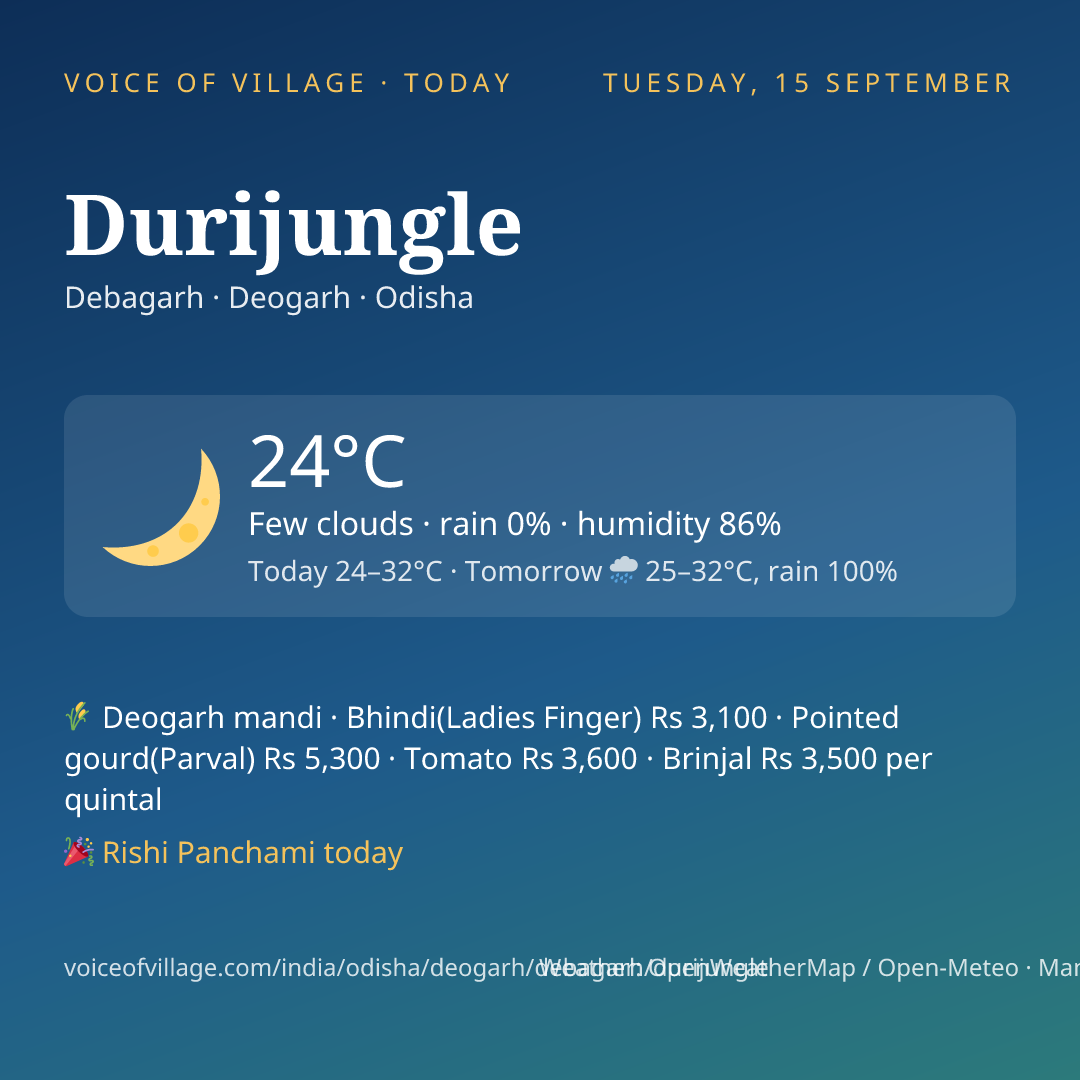 Durijungle today