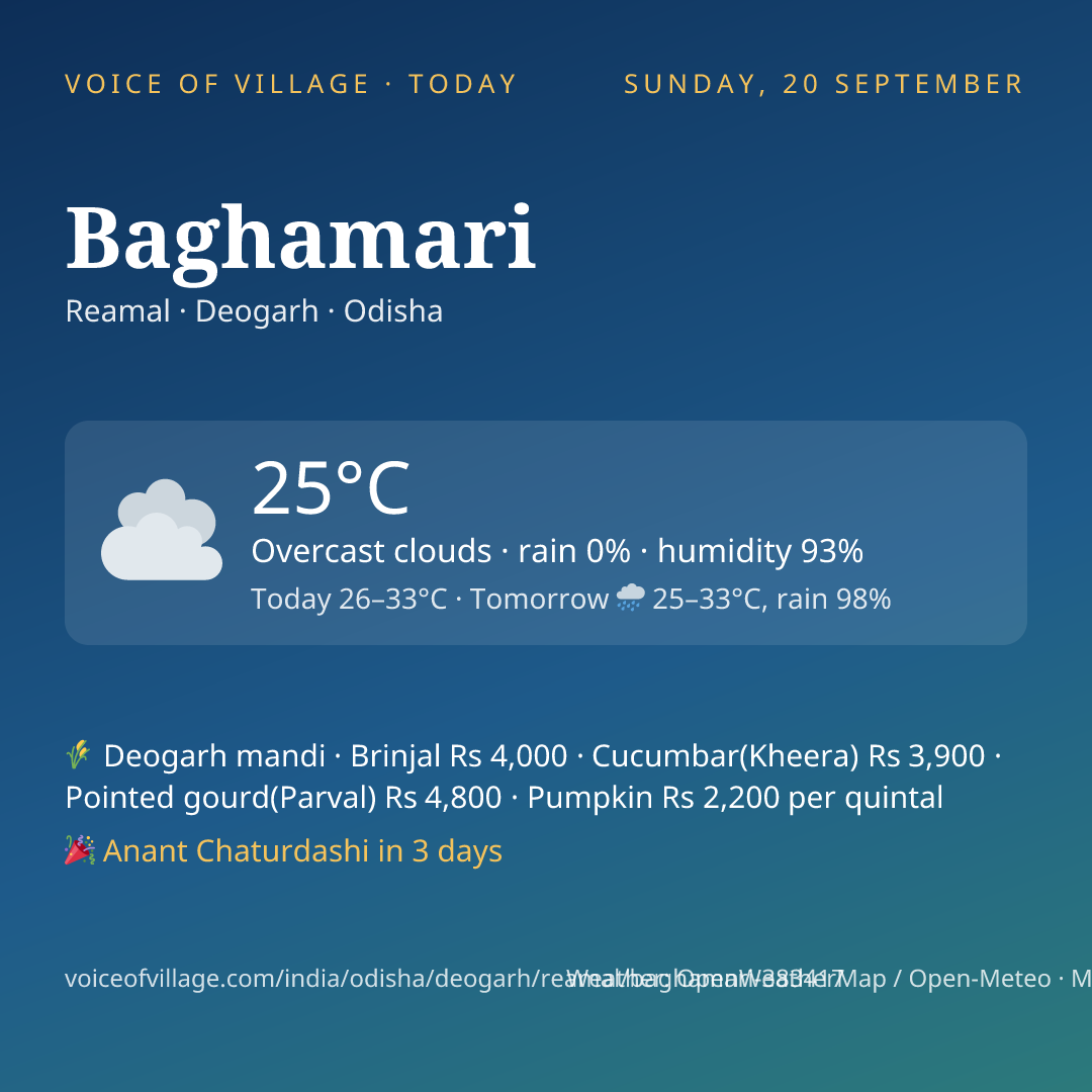 Baghamari today