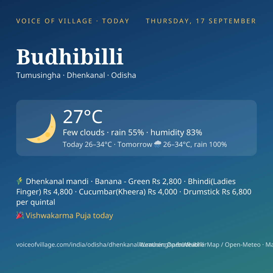 Budhibilli today