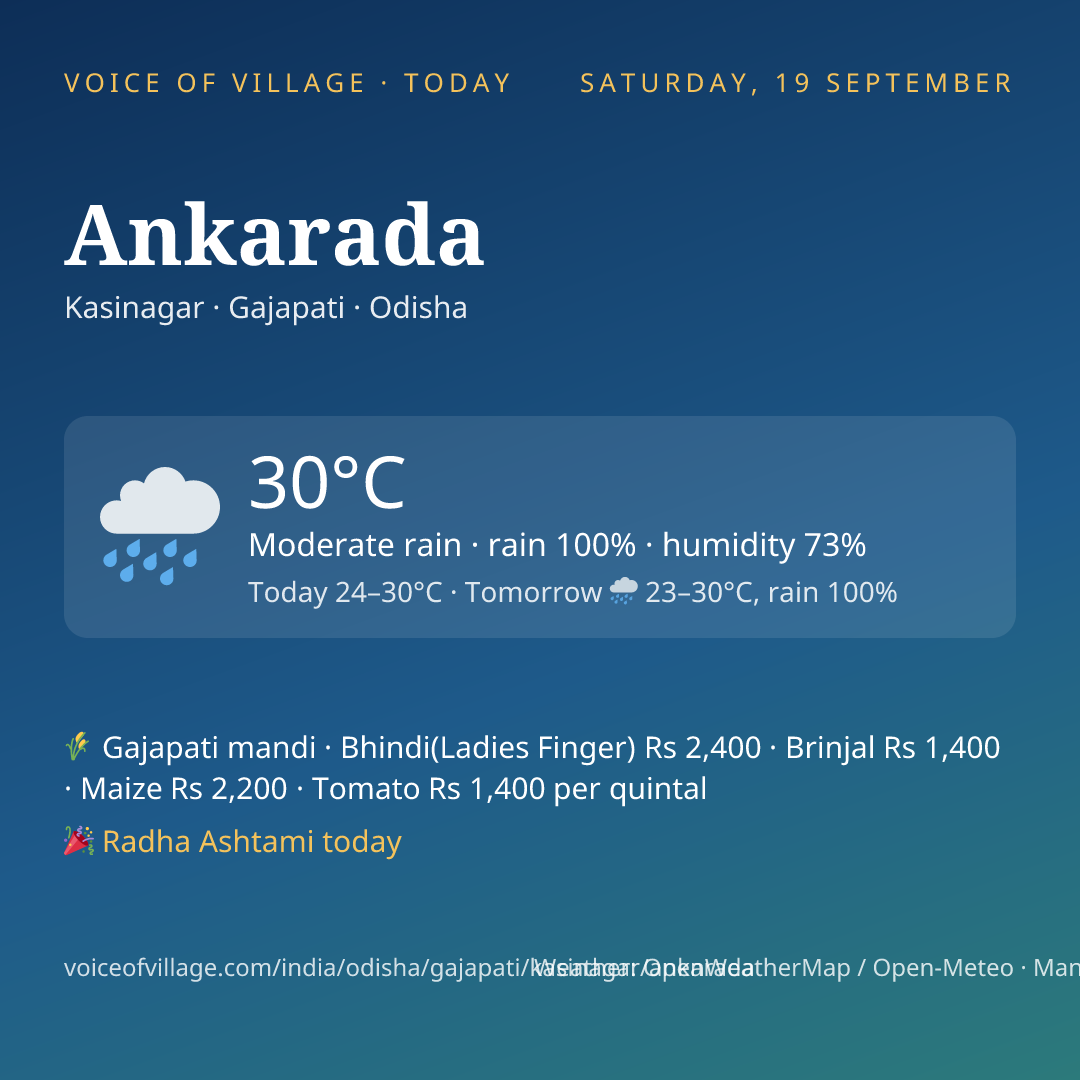 Ankarada today