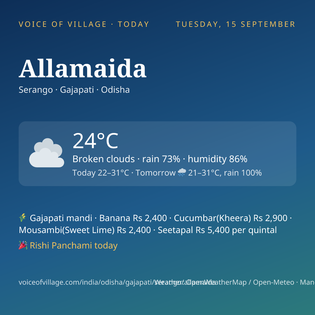 Allamaida today