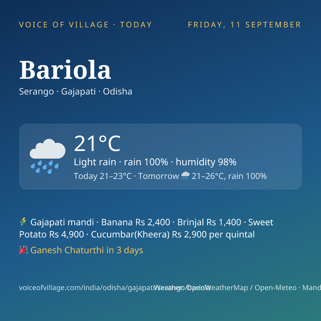 Bariola today