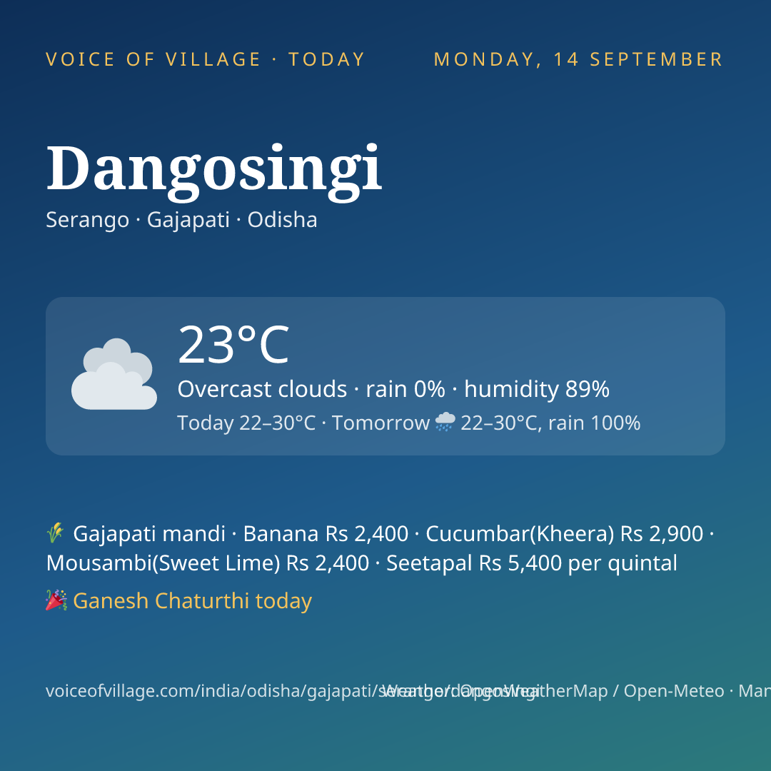 Dangosingi today