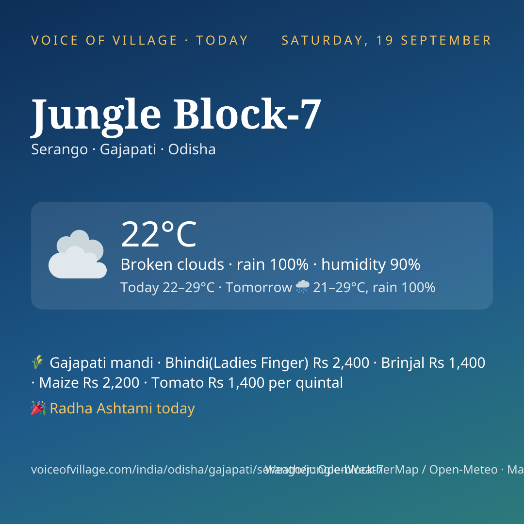 Jungle Block-7 today