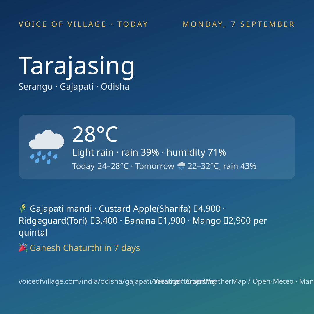 Tarajasing today