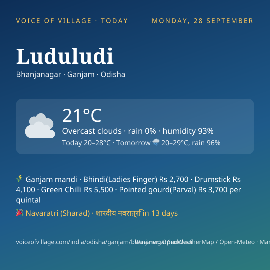 Luduludi today