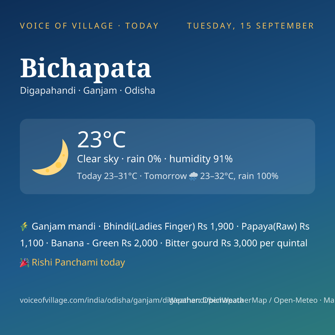 Bichapata today