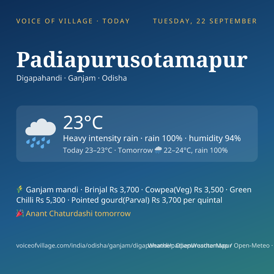 Padiapurusotamapur today