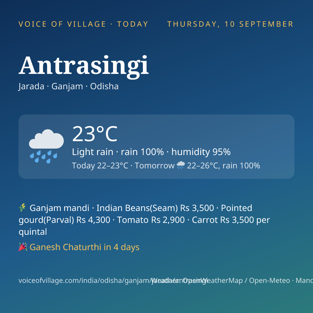 Antrasingi today