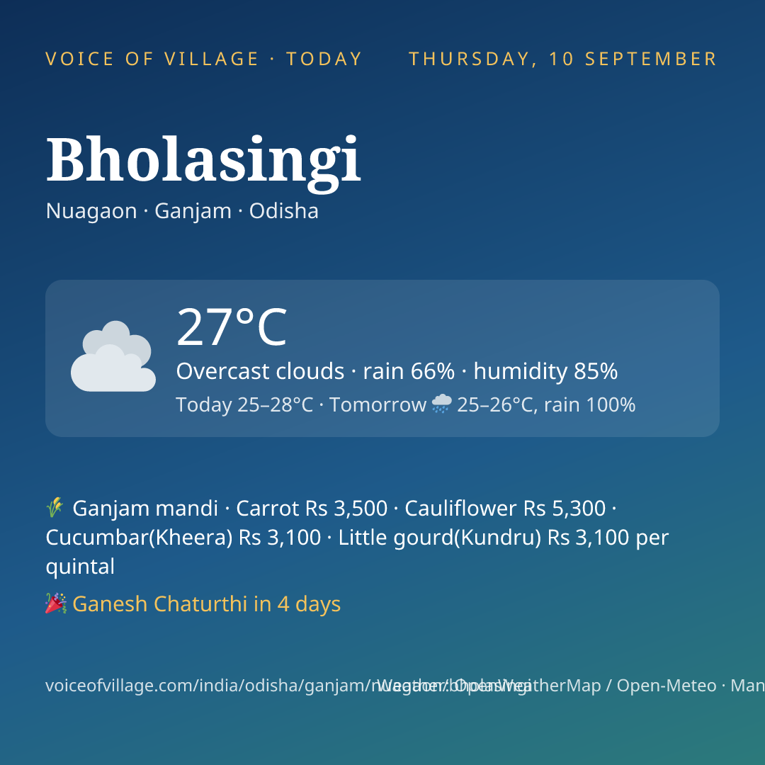 Bholasingi today