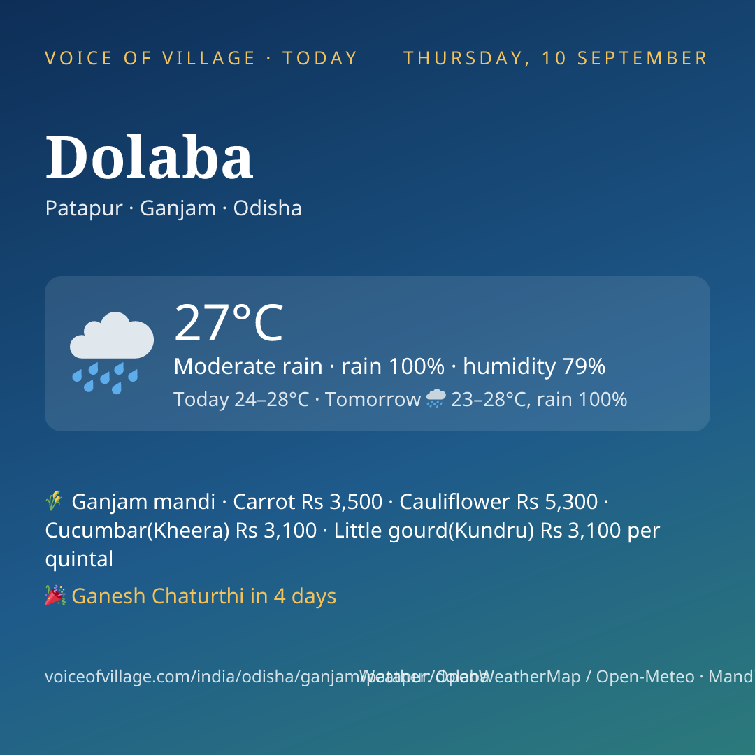 Dolaba today