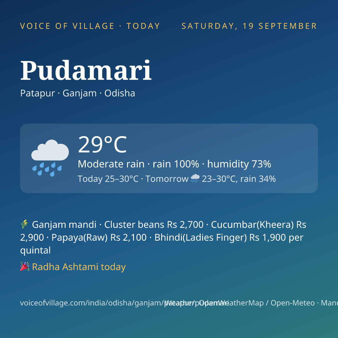 Pudamari today