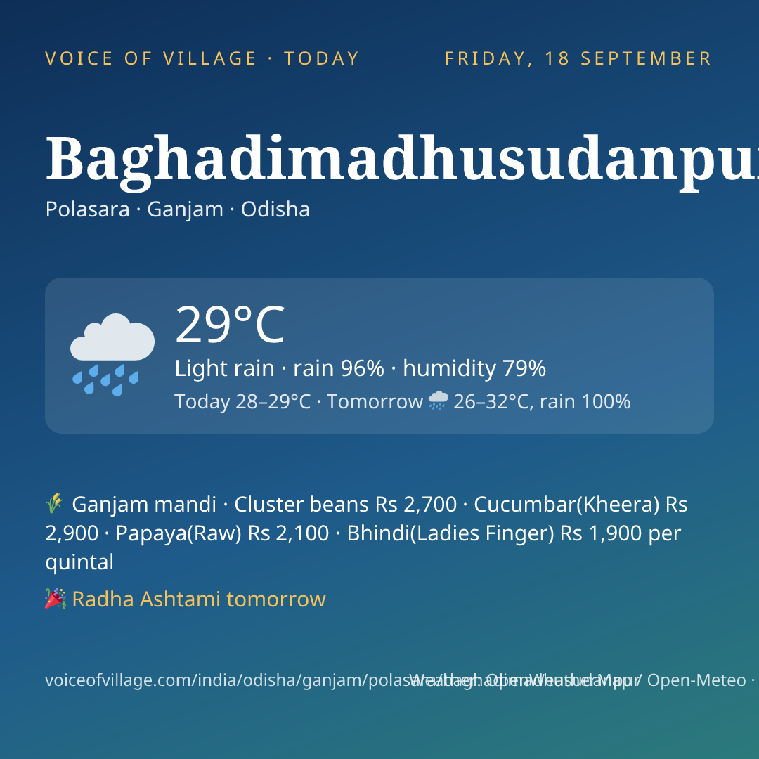 Baghadimadhusudanpur today