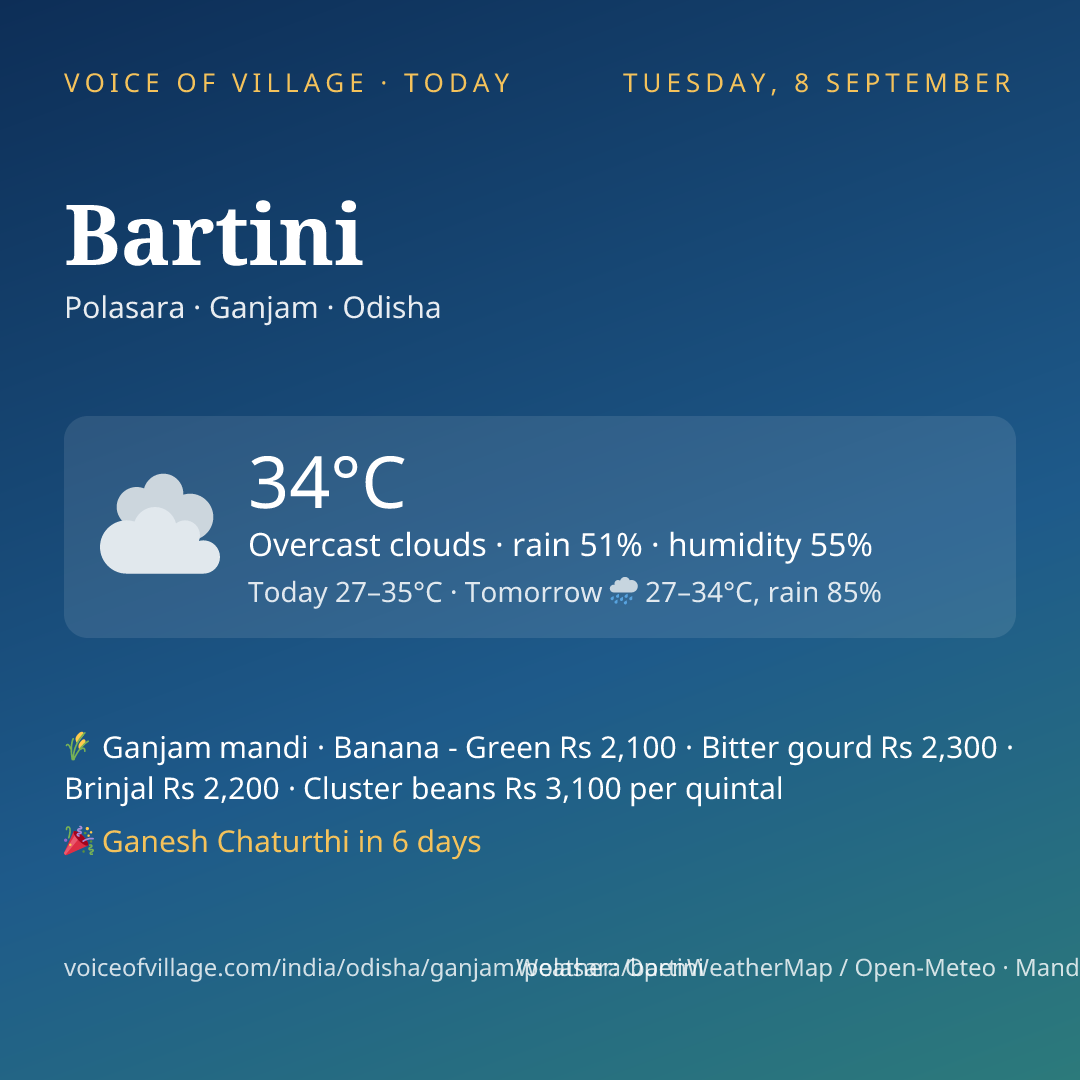Bartini today