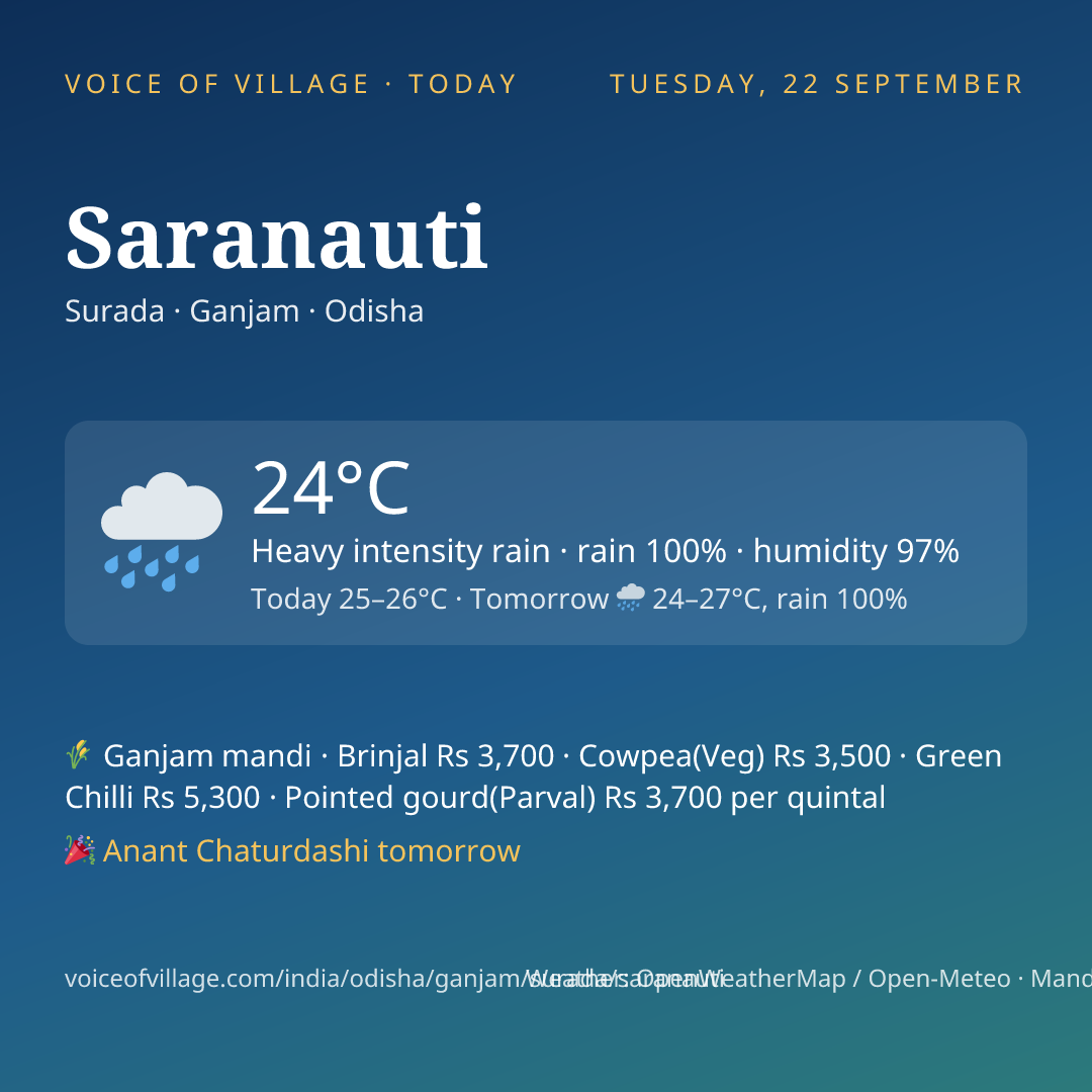 Saranauti today