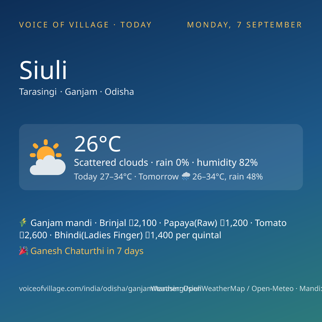 Siuli today