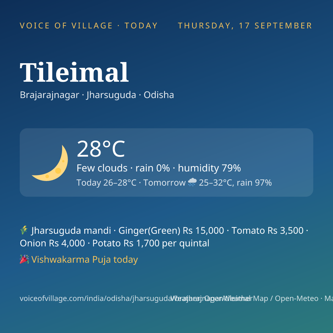 Tileimal today