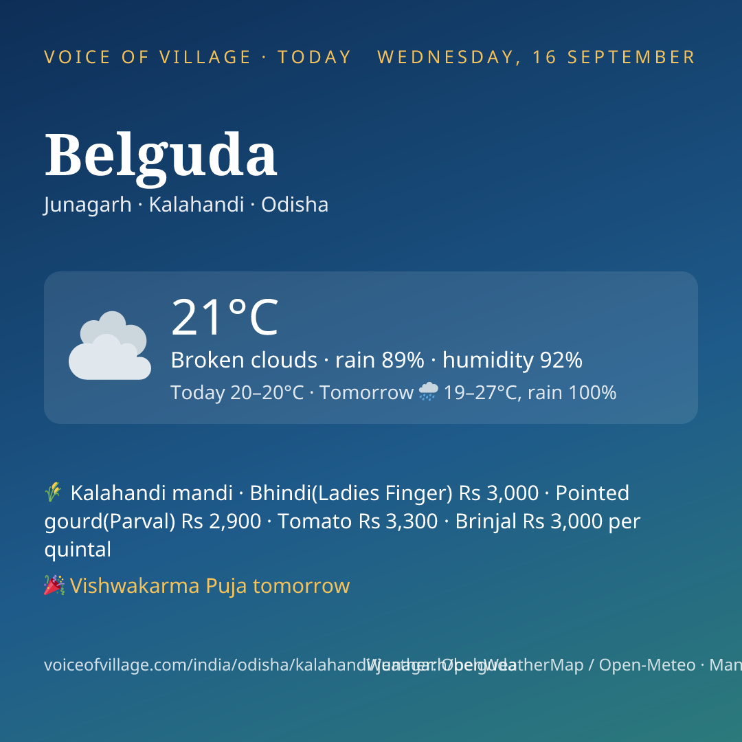 Belguda today