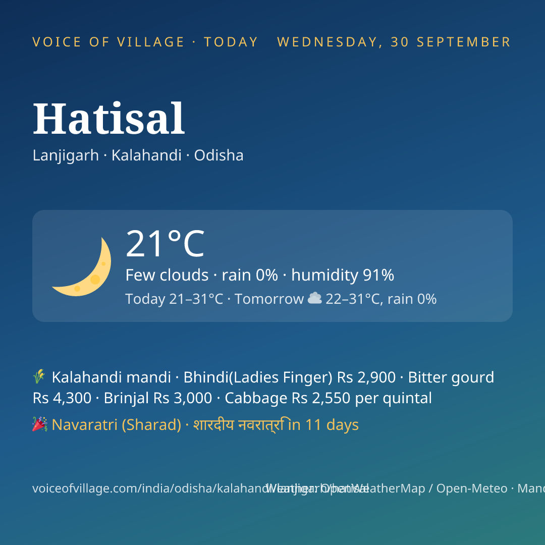 Hatisal today