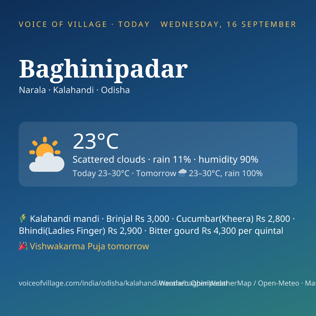 Baghinipadar today